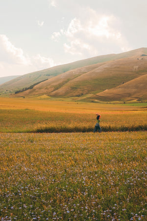 person-reaches-upward-in-open-grassy-field